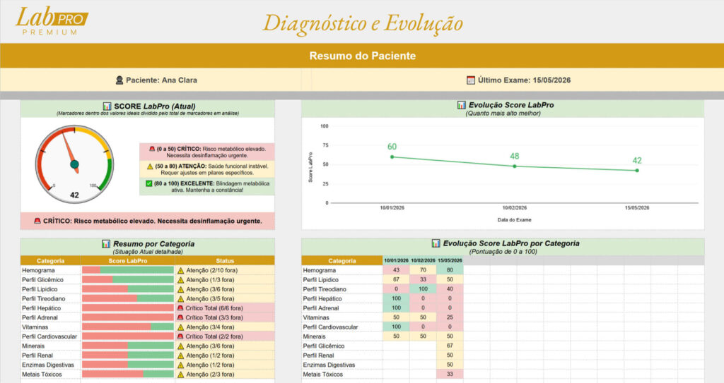 PDF do paciente: Score LabPro, evolução e resumo por categoria.